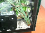 PIC_0177.JPG
