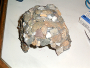 PIC_0197.JPG