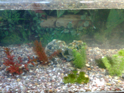 25012009245.jpg