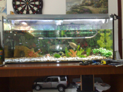 22062009290.jpg
