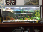 22062009291.jpg