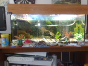 16112009443.jpg