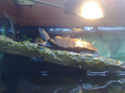 18042010030.jpg