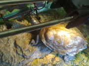 18042010031.jpg