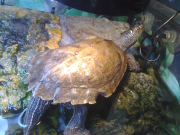 18042010032.jpg