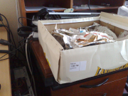 08062010045.jpg