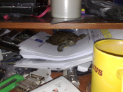 09062010046.jpg