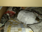 28062010048.jpg